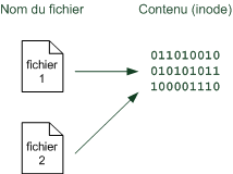 Lien physique