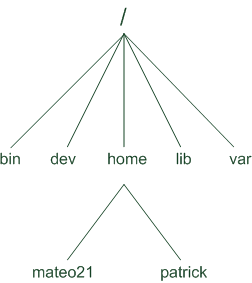 Organisation des dossiers de Linux